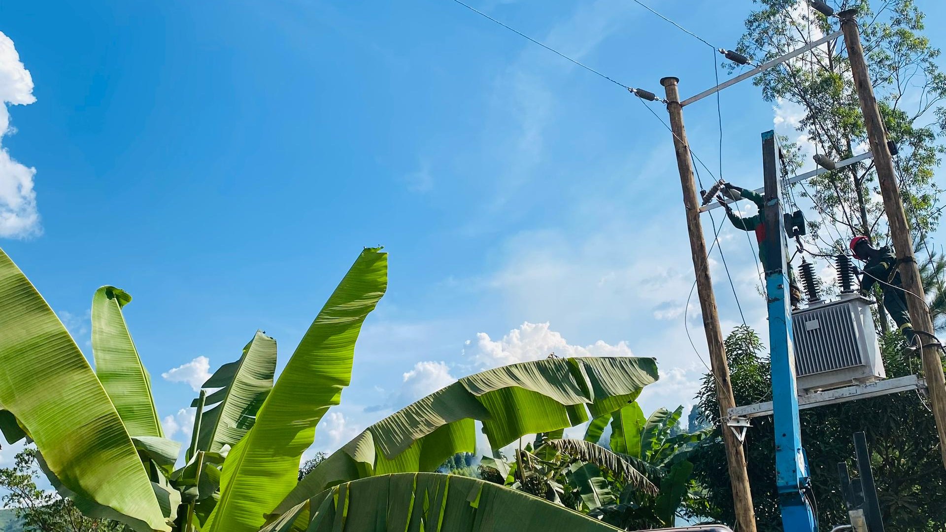 Electrical grid and power line construction service