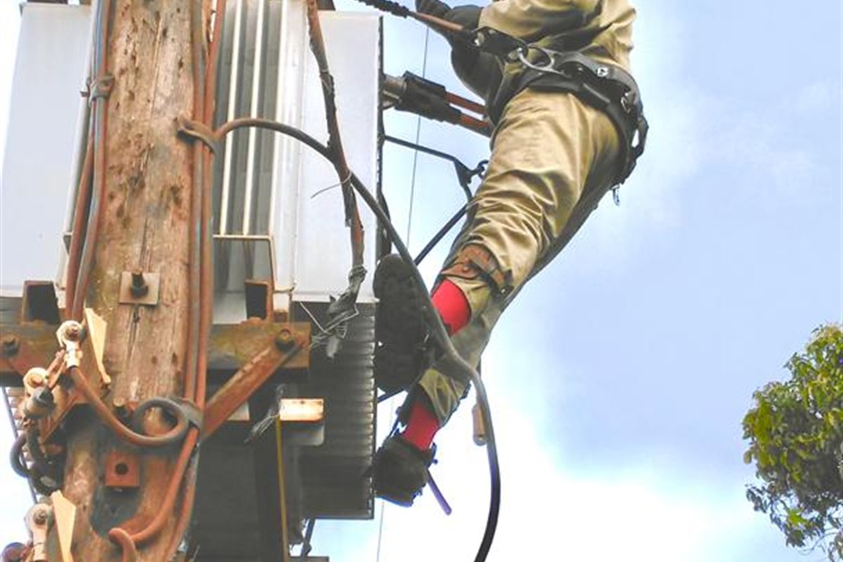 Power line maintenance project